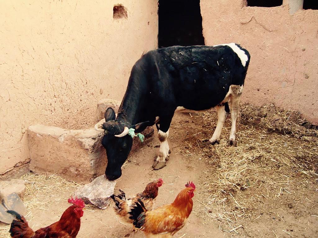 Dar Mouna La Source Ait Benhaddou Exterior photo